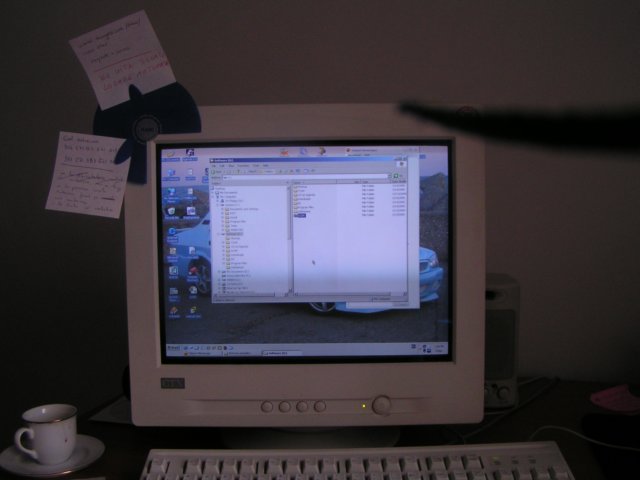 Photograph